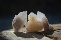 Natural Small Mixed Selection Of White Spirit Quartz Crystals  x 70 From Boekenhouthoek, South Africa - Toprock Gemstones and Minerals 