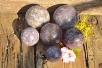 Polished Purple Lepidolite Spheres  x 6 From Madagascar - TopRock