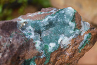 Natural Drusy Coated Ball Malachite On Dolomite Specimen x 1 From Likasi, Congo