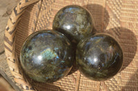 Polished  Labradorite Spheres With Subtle Flash  x 3 From Tulear, Madagascar