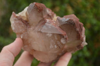 Natural Red Hematoid Quartz Specimens x 2 From Karoi, Zimbabwe - TopRock