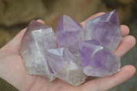 Polished Single Jacaranda Amethyst Crystals  x 12 From Zambia - Toprock Gemstones and Minerals 