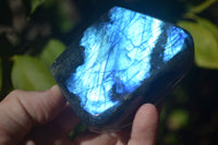 Polished Stunning Labradorite Standing Free Forms With Intense Full Face Flash  x 2 From Tulear, Madagascar