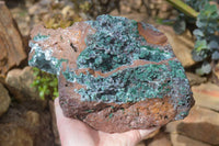 Natural Drusy Coated Ball Malachite On Dolomite Specimen x 1 From Likasi, Congo