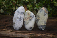 Polished Dendritic Opal Standing Free Forms  x 3 From Moralambo, Madagascar