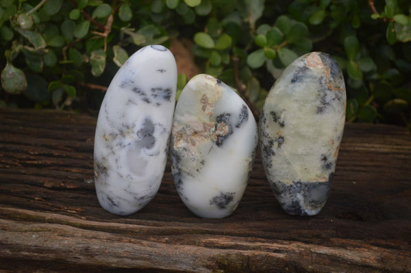 Polished Dendritic Opal Standing Free Forms  x 3 From Moralambo, Madagascar