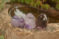 Polished Stunning Selection Of Window Amethyst Crystals  x 24 From Akansobe, Madagascar - TopRock