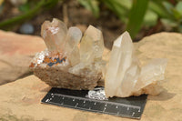 Natural Small Quartz Clusters  x 35 From Madagascar - TopRock