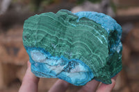 Natural Blue Chrysocolla On Silky Malachite Matrix Specimen x 1 From Kulukuluku, Congo - Toprock Gemstones and Minerals 