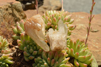 Natural Small Quartz Clusters  x 35 From Madagascar - TopRock