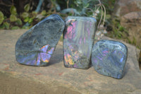 Polished Rare Purple Flash Labradorite Standing Free Forms x 3 From Tulear, Madagascar