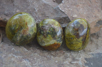 Polished Green Opal Free Forms  x 6 From Antsirabe, Madagascar - Toprock Gemstones and Minerals 