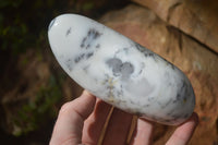 Polished Dendritic Opal Standing Free Forms  x 3 From Moralambo, Madagascar