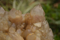 Natural Large Cascading White Phantom Smokey Quartz Cluster  x 1 From Luena, Congo - TopRock