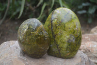 Polished Green Opal Standing Free Forms  x 2 From Madagascar - Toprock Gemstones and Minerals 