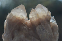 Natural Cascading White Phantom Smokey Quartz Clusters  x 4 From Luena, Congo - Toprock Gemstones and Minerals 