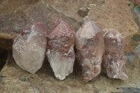 Natural Red Hematoid Quartz Specimens  x 12 From Karoi, Zimbabwe - TopRock