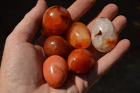 Polished Small Carnelian Agate Eggs  x 20 From Madagascar - TopRock