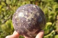 Polished Purple Lepidolite Spheres x 2 From Madagascar - TopRock