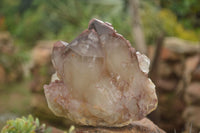 Natural Red Hematoid Quartz Specimens x 2 From Karoi, Zimbabwe - TopRock