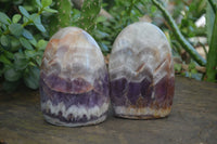 Polished Chevron Amethyst Standing Free Forms  x 3 From Madagascar - Toprock Gemstones and Minerals 