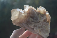 Natural Cascading White Phantom Smokey Quartz Clusters  x 4 From Luena, Congo - Toprock Gemstones and Minerals 