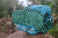 Natural Blue Chrysocolla On Silky Malachite Matrix Specimen x 1 From Kulukuluku, Congo - Toprock Gemstones and Minerals 