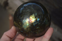 Polished  Labradorite Spheres With Subtle Flash  x 3 From Tulear, Madagascar