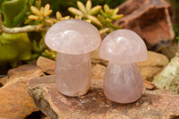 Polished Large Gemmy Pink Rose Quartz Mushrooms  x 5 From Madagascar - TopRock