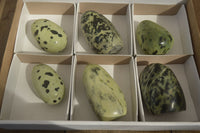 Polished Leopard Stone Free Forms  x 6 From Zimbabwe