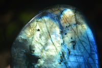 Polished Stunning Labradorite Standing Free Forms With Intense Full Face Flash  x 2 From Tulear, Madagascar