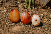 Polished Small Carnelian Agate Eggs  x 20 From Madagascar - TopRock