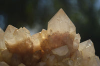 Natural Large Cascading White Phantom Smokey Quartz Cluster  x 1 From Luena, Congo - TopRock