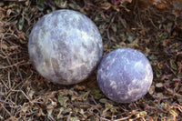 Polished Purple Lepidolite Spheres  x 6 From Madagascar - TopRock