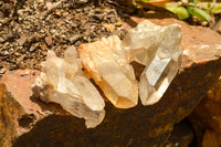 Natural Small Quartz Clusters  x 35 From Madagascar - TopRock