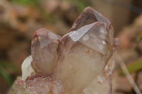 Natural Red Hematoid Quartz Specimens x 2 From Karoi, Zimbabwe - TopRock