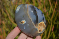 Polished Agate Free Forms x 6 From West Coast, Madagascar