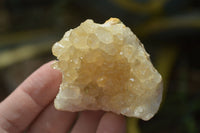 Natural Golden Limonite / Lemonite Quartz Clusters  x 24 From Zambia - Toprock Gemstones and Minerals 