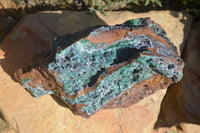 Natural Drusy Coated Ball Malachite On Dolomite Specimen x 1 From Likasi, Congo