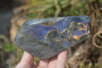 Polished Rare Purple Flash Labradorite Standing Free Forms x 3 From Tulear, Madagascar