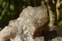 Natural Smokey Quartz Cluster (Minor Damage) x 1 From Luena, Congo - TopRock