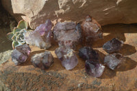 Natural Window Amethyst Crystals  x 12 From Chiredzi, Zimbabwe