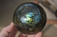 Polished  Labradorite Spheres With Subtle Flash  x 3 From Tulear, Madagascar