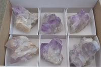 Natural Jacaranda Amethyst Clusters  x 6 From Mumbwa, Zambia - Toprock Gemstones and Minerals 