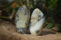 Polished Dendritic Opal Standing Free Forms  x 3 From Moralambo, Madagascar