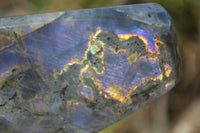 Polished Rare Purple Flash Labradorite Standing Free Forms x 3 From Tulear, Madagascar