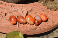 Polished Small Carnelian Agate Eggs  x 20 From Madagascar - TopRock