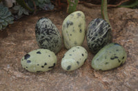 Polished Leopard Stone Free Forms  x 6 From Zimbabwe