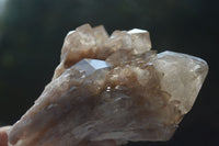 Natural Cascading White Phantom Smokey Quartz Clusters  x 4 From Luena, Congo - Toprock Gemstones and Minerals 