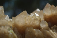 Natural Large Cascading White Phantom Smokey Quartz Cluster  x 1 From Luena, Congo - TopRock